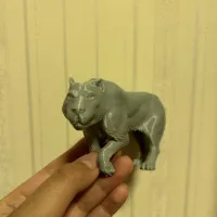 狮子-1
