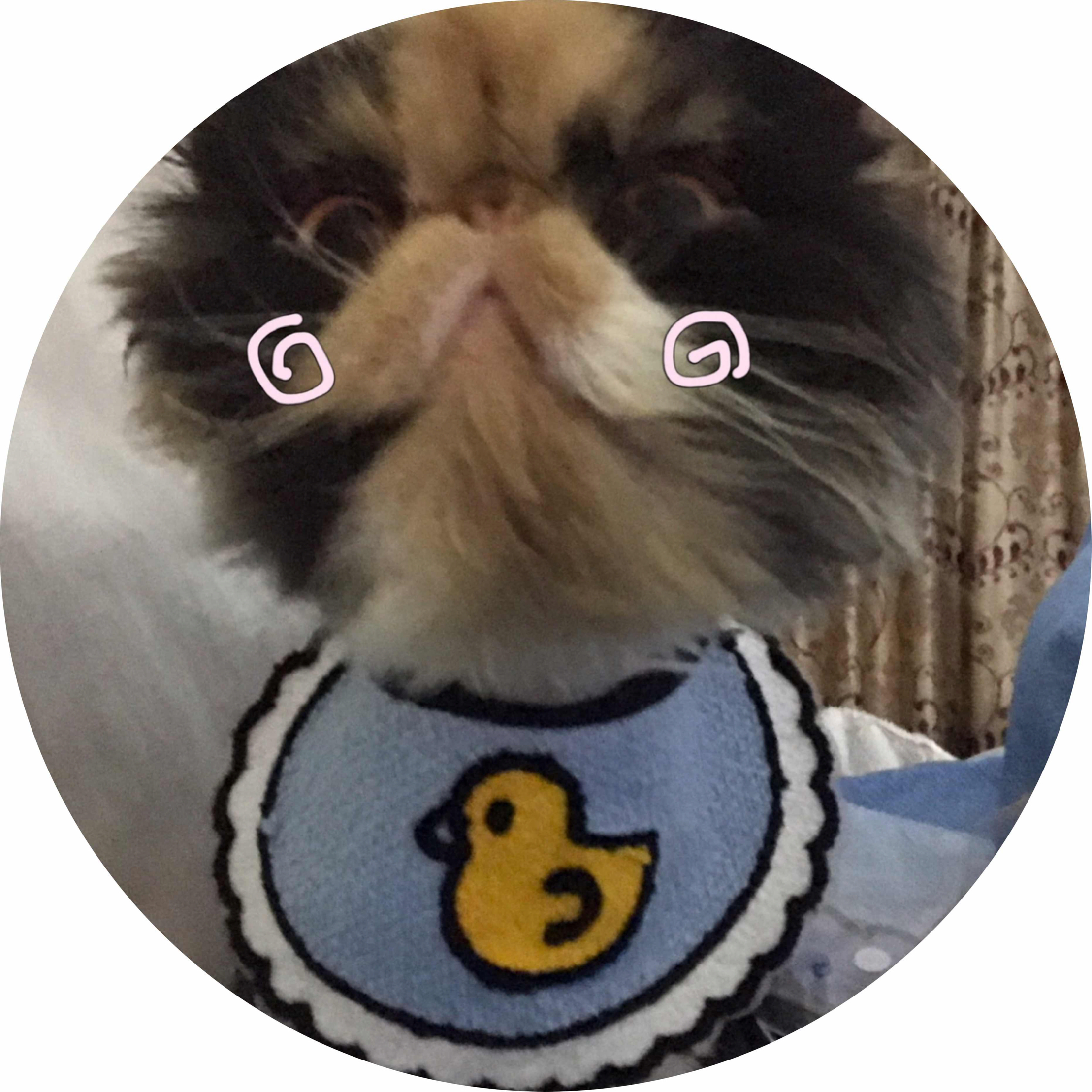 avatar of 用户9266634144