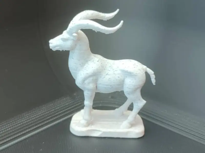 Capricorn