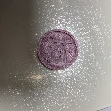 龙年限定姓氏硬币（梅）-0