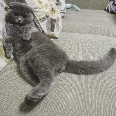 寒冰