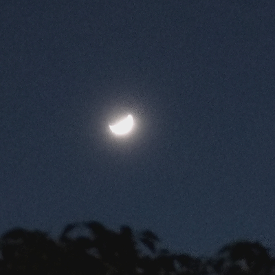 avatar of 编号89757