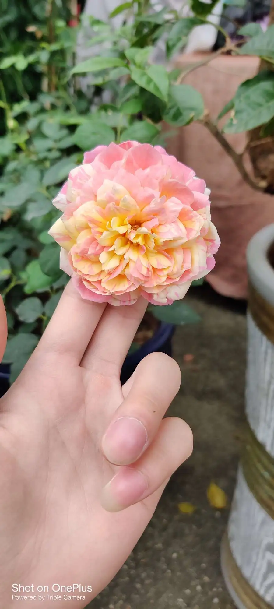 一起3D打印