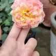 一起3D打印