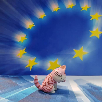 avatar of 公益模型师小草猫咪