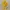 Chocobo Fan Art - Final Fantasy