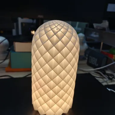 拓竹LED灯-1