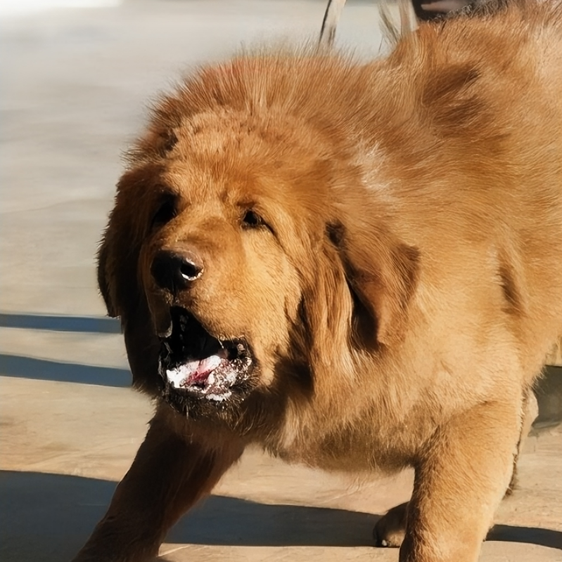 avatar of 漂泊扉间