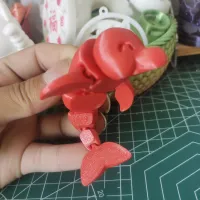 海豚 关节可活动-2