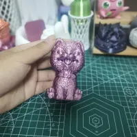 比熊犬-2