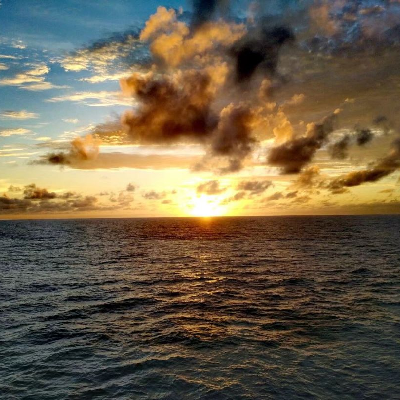 avatar of 念着倒瓜傻让会字名个这