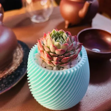 花盆-0