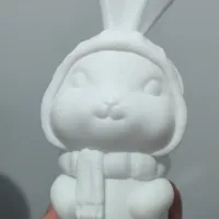 兔子-0