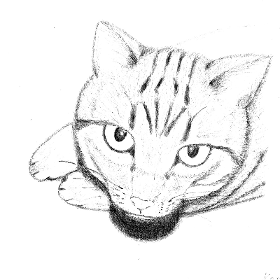 avatar of 贱客