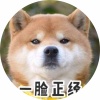 avatar of 又菜又爱玩又不吃香菜