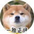 avatar of 又菜又爱玩又不吃香菜