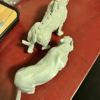 狮子-4