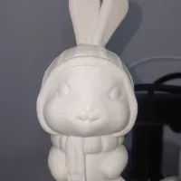 兔子-1