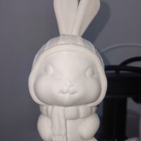 兔子-2
