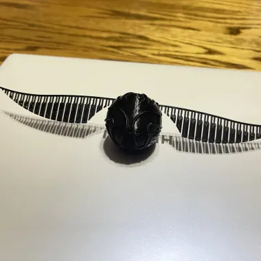 金色飞贼-1