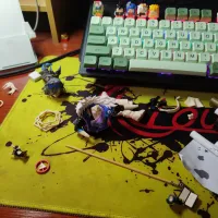 星穹铁道-银狼-6