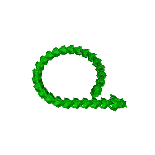 Flexi Articulated Dragon Snake