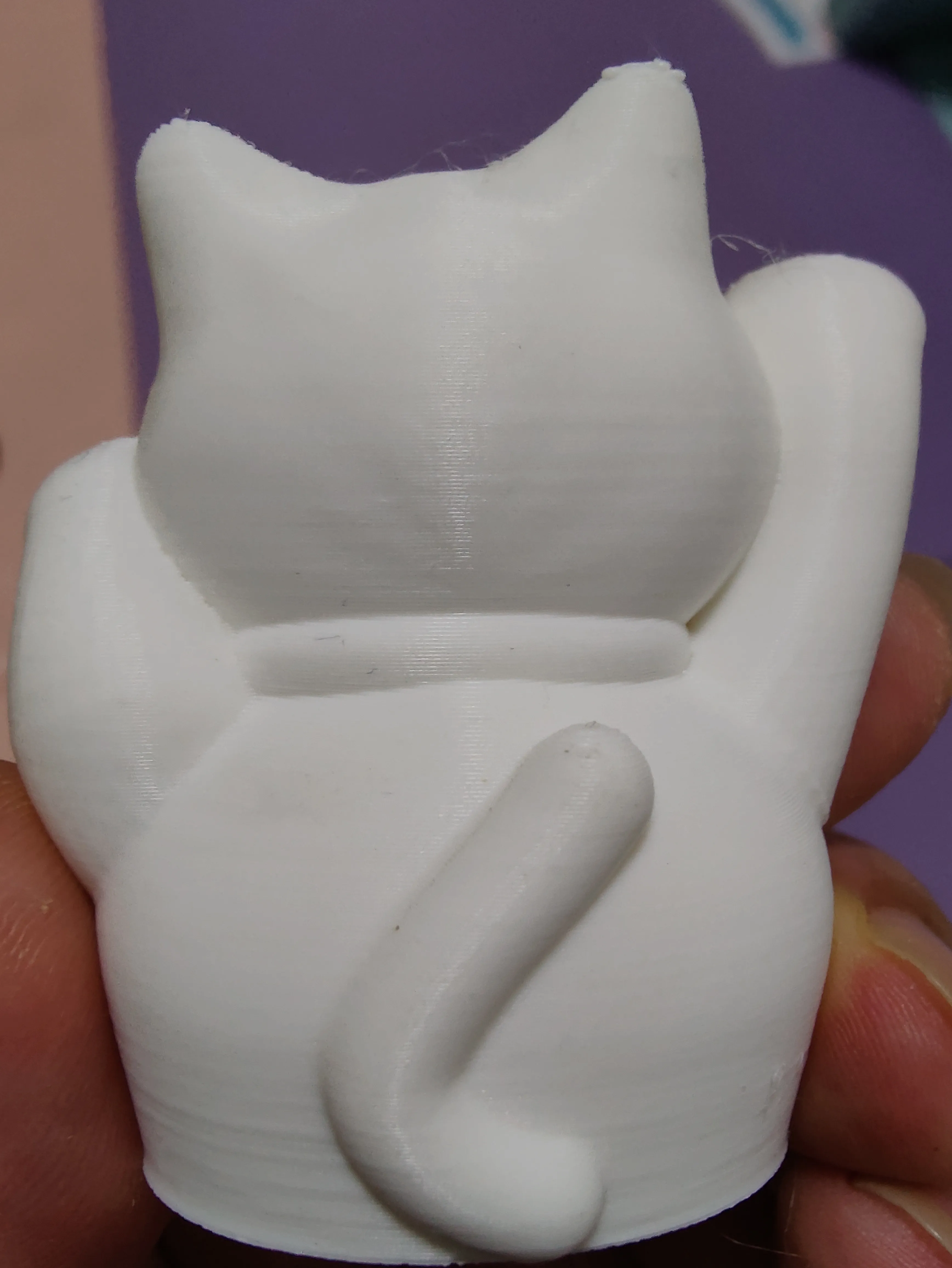 Lucky Cat money box-1