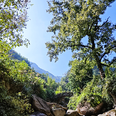 avatar of momo哒哒