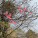 avatar of 用户5502579841