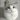 avatar of 哎呀