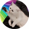 avatar of 野生小虾米