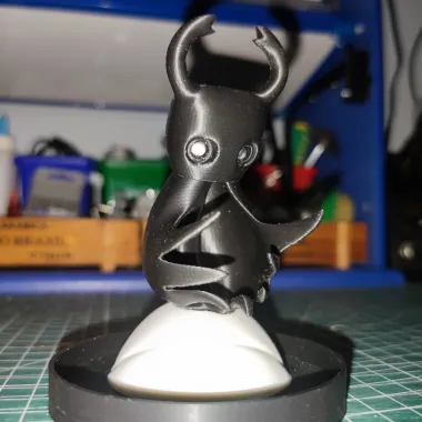 空洞骑士-0