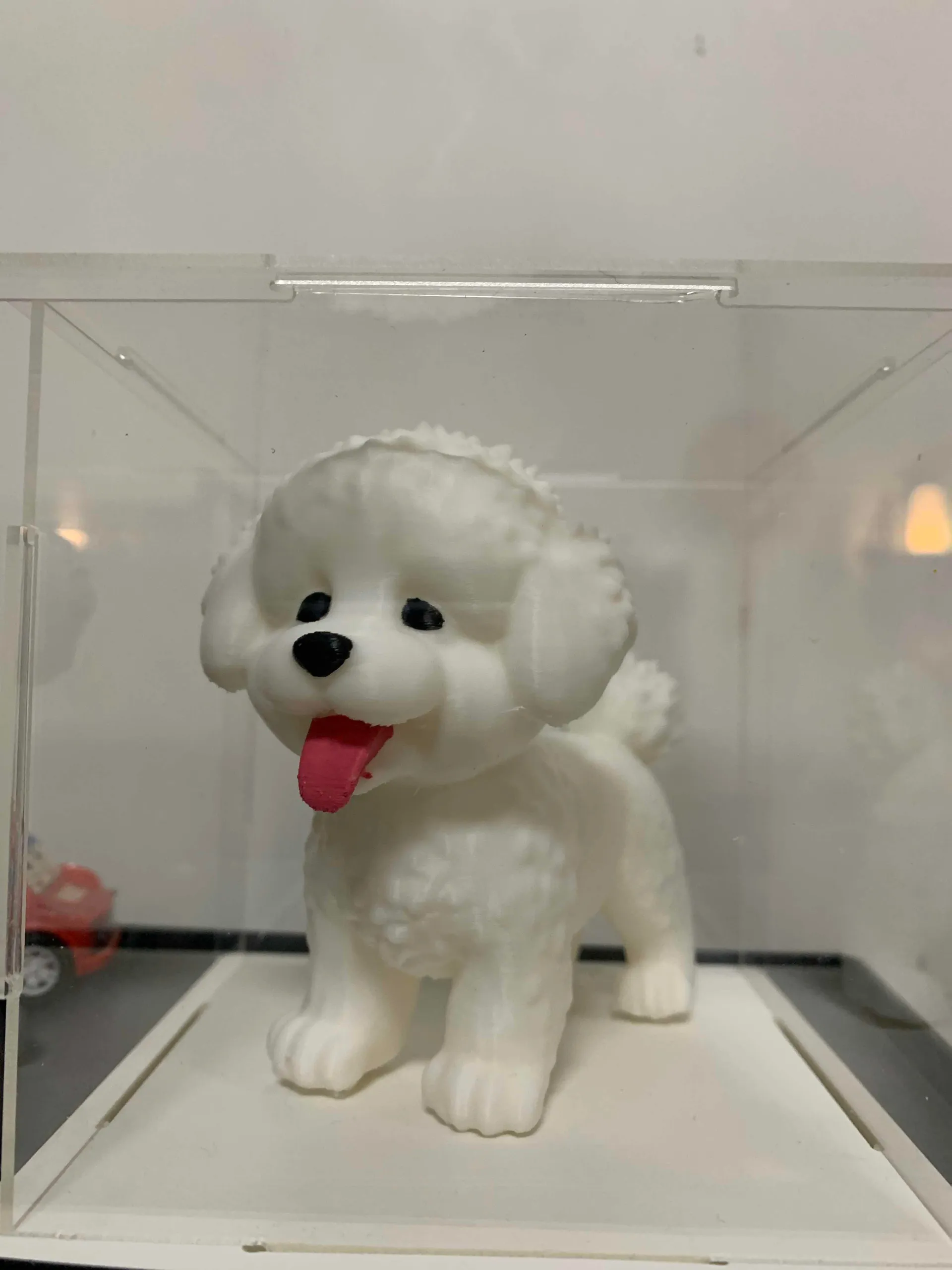 汇彩鱼