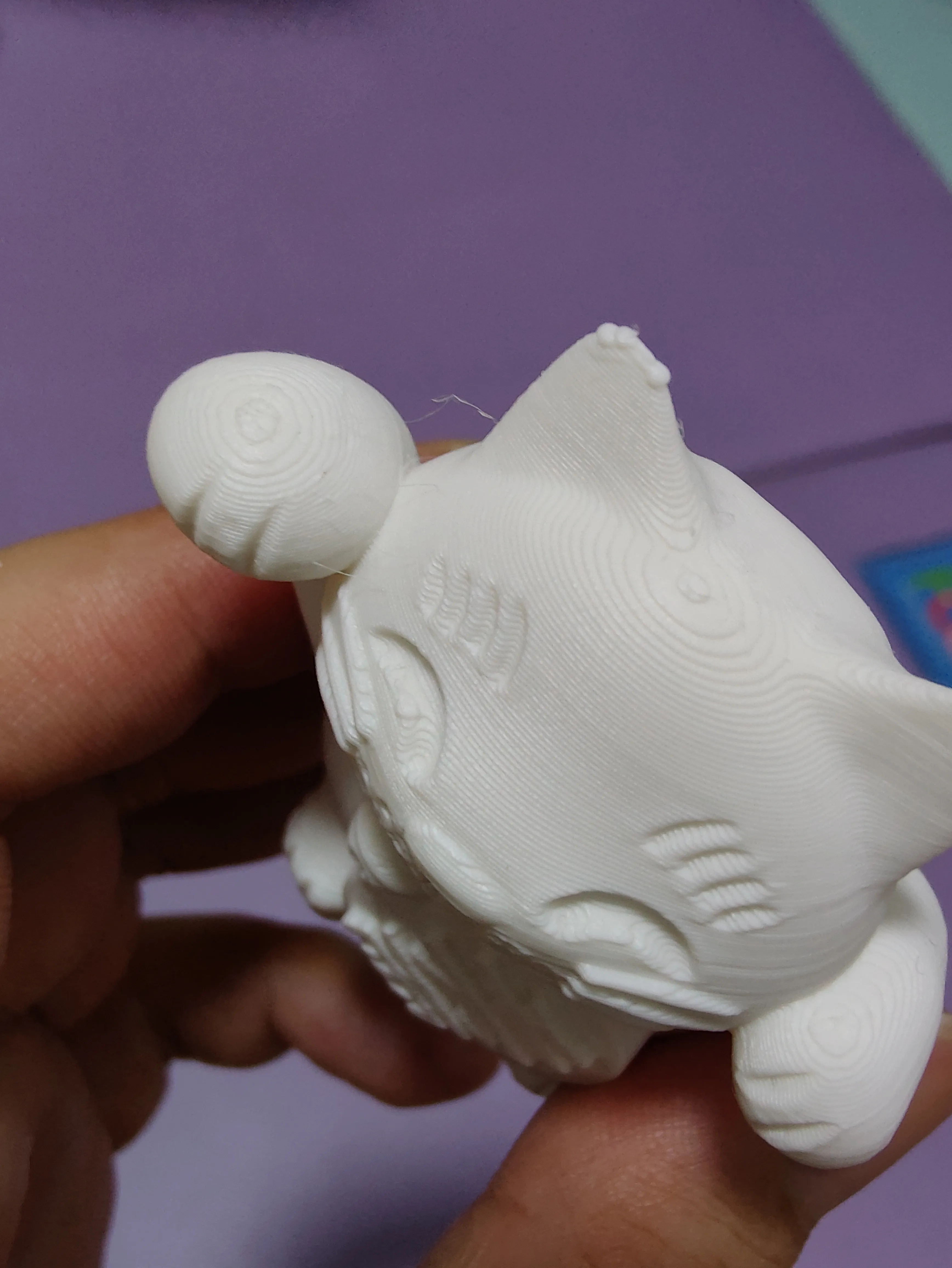 Lucky Cat money box-0