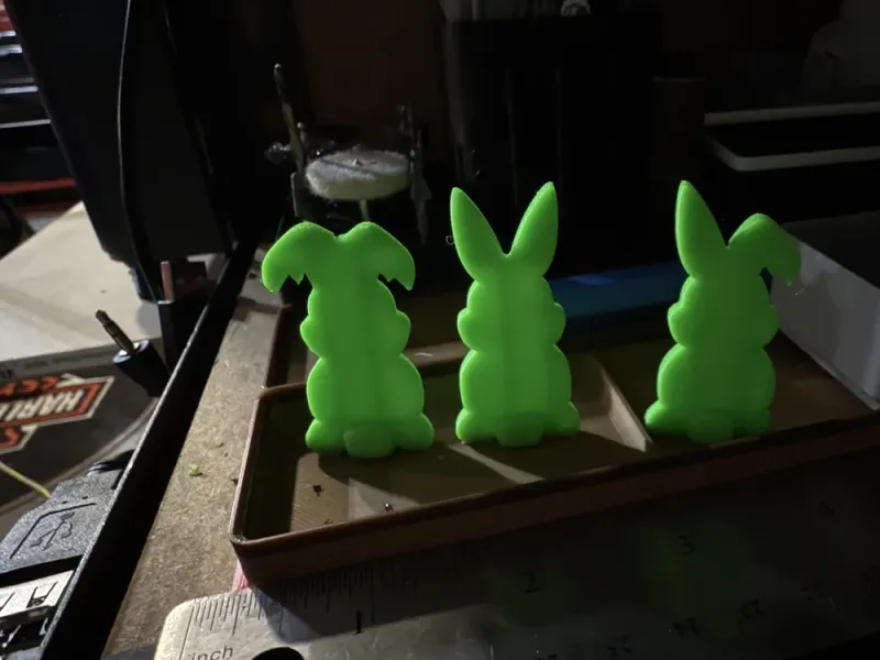 3 Bunnys