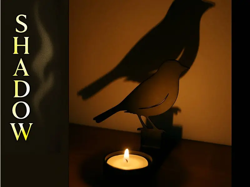 Shadow Art - Bird