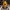 Lion Head Bust -
