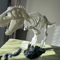 暴龙骨架-2