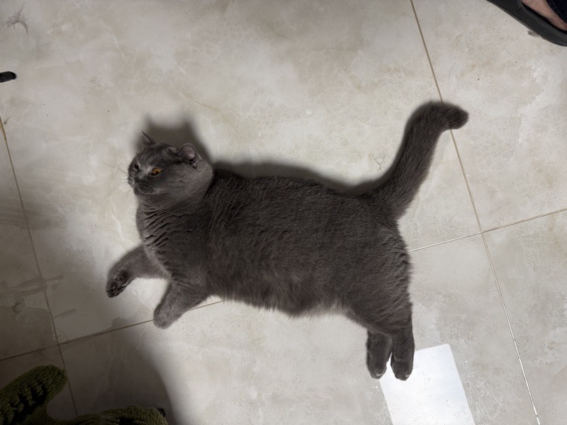 avatar of 用户1931001707