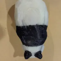 panda熊猫-3