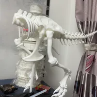 暴龙骨架-1