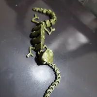 flexi可动变色龙   Articulated_Chameleon-1