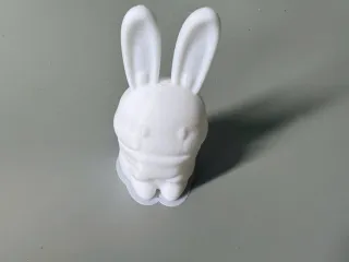 Christmas Gift - Cute Little Bunny