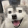 avatar of 猪头H方
