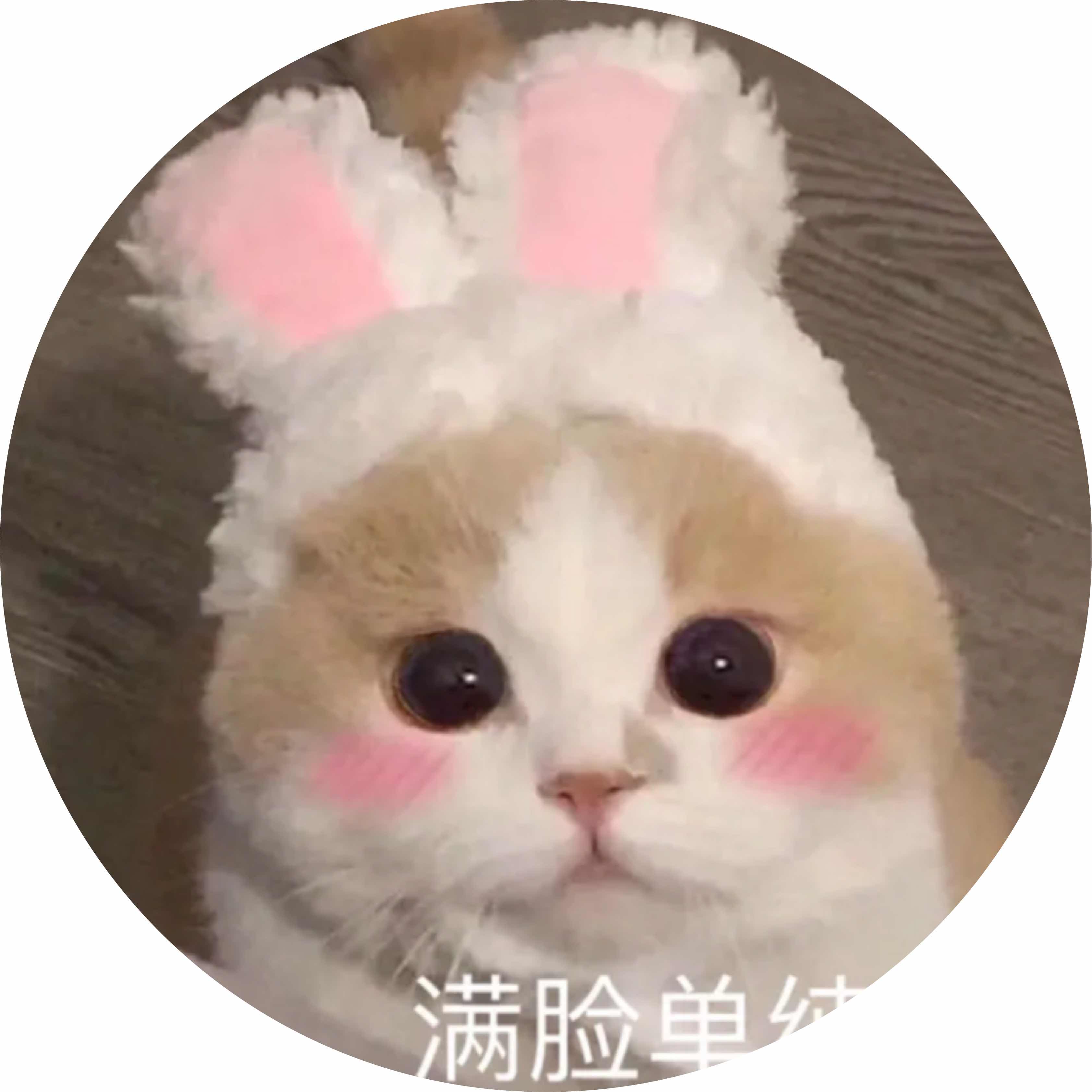 avatar of Zxc