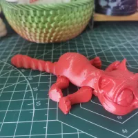 活动关节猫-2