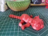 活动关节猫-2