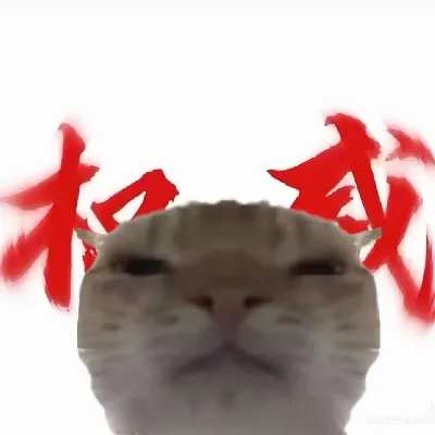 权威战胜一切