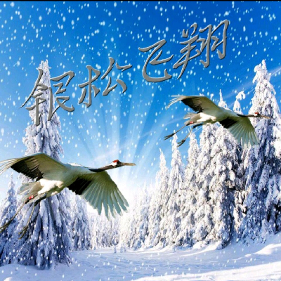 avatar of 银松飞翔
