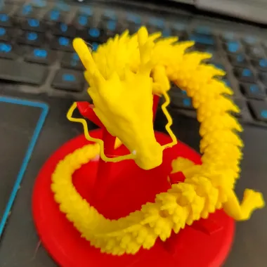 龙-0